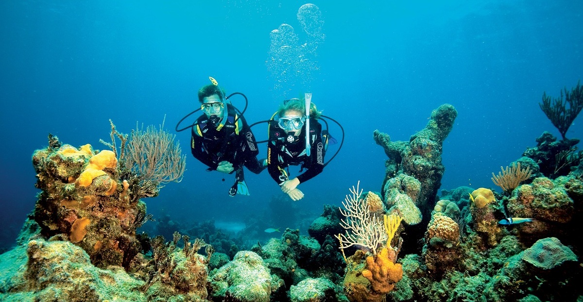 Dive buddies in the ocean