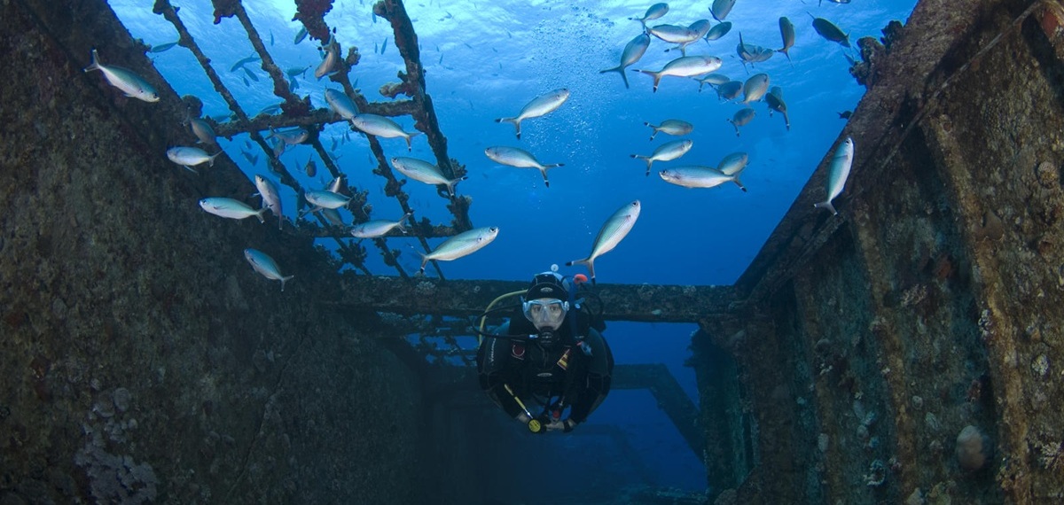 Wreck Dive